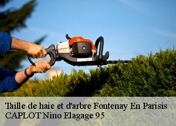 Taille de haie et d'arbre fontenay-en-parisis-95190 CAPLOT Nino Elagage 95