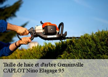 Taille de haie et d'arbre  genainville-95420 CAPLOT Nino Elagage 95