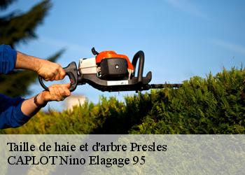 Taille de haie et d'arbre presles-95590 CAPLOT Nino Elagage 95