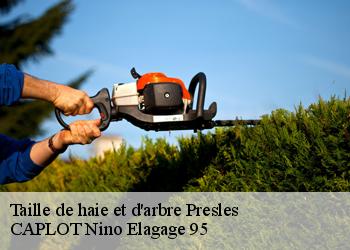 Taille de haie et d'arbre  presles-95590 CAPLOT Nino Elagage 95