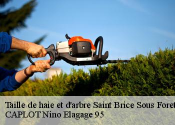 Taille de haie et d'arbre  saint-brice-sous-foret-95350 CAPLOT Nino Elagage 95