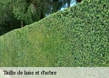 Taille de haie et d'arbre