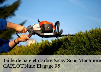 Taille de haie et d'arbre  soisy-sous-montmorency-95230 CAPLOT Nino Elagage 95