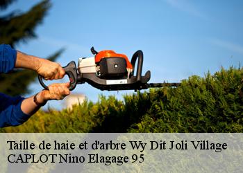 Taille de haie et d'arbre  wy-dit-joli-village-95420 CAPLOT Nino Elagage 95