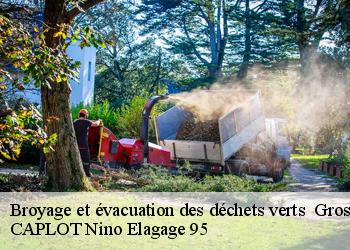 Broyage et évacuation des déchets verts   groslay-95410 CAPLOT Nino Elagage 95
