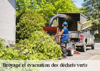 Broyage et évacuation des déchets verts 