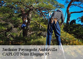 Jardinier Paysagiste  ambleville-95710 CAPLOT Nino Elagage 95