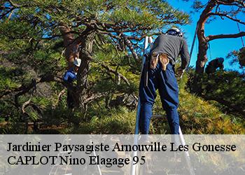 Jardinier Paysagiste  arnouville-les-gonesse-95400 CAPLOT Nino Elagage 95