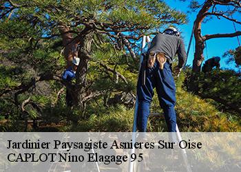 Jardinier Paysagiste asnieres-sur-oise-95270 CAPLOT Nino Elagage 95