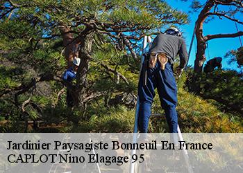 Jardinier Paysagiste  bonneuil-en-france-95500 CAPLOT Nino Elagage 95