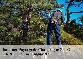Jardinier Paysagiste  champagne-sur-oise-95660 CAPLOT Nino Elagage 95