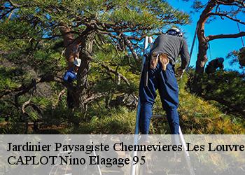 Jardinier Paysagiste  chennevieres-les-louvres-95380 CAPLOT Nino Elagage 95