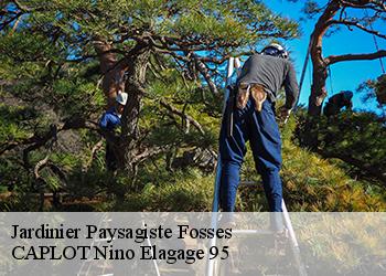 Jardinier Paysagiste fosses-95470 CAPLOT Nino Elagage 95