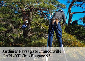 Jardinier Paysagiste  franconville-95130 CAPLOT Nino Elagage 95