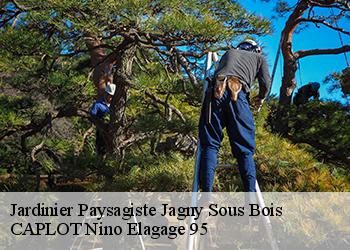 Jardinier Paysagiste  jagny-sous-bois-95850 CAPLOT Nino Elagage 95