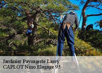 Jardinier Paysagiste  lassy-95270 CAPLOT Nino Elagage 95