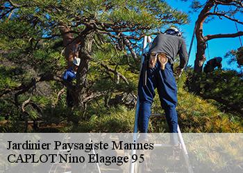 Jardinier Paysagiste  marines-95640 CAPLOT Nino Elagage 95