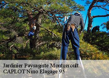 Jardinier Paysagiste  montgeroult-95650 CAPLOT Nino Elagage 95