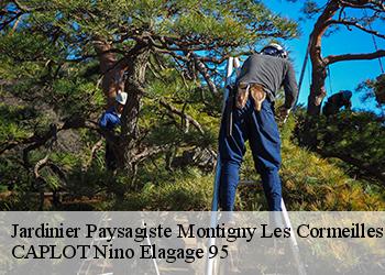 Jardinier Paysagiste  montigny-les-cormeilles-95370 CAPLOT Nino Elagage 95