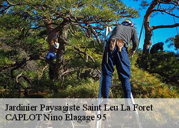 Jardinier Paysagiste saint-leu-la-foret-95320 CAPLOT Nino Elagage 95