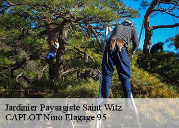 Jardinier Paysagiste  saint-witz-95470 CAPLOT Nino Elagage 95