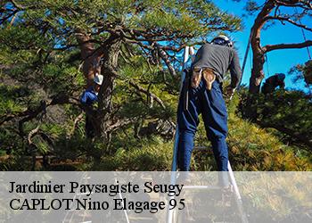 Jardinier Paysagiste seugy-95270 CAPLOT Nino Elagage 95