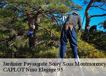 Jardinier Paysagiste  soisy-sous-montmorency-95230 CAPLOT Nino Elagage 95