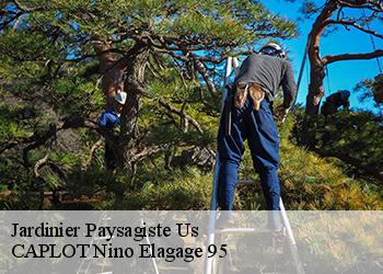 Jardinier Paysagiste us-95450 CAPLOT Nino Elagage 95