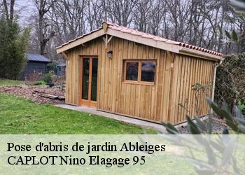 Pose d'abris de jardin  ableiges-95450 CAPLOT Nino Elagage 95