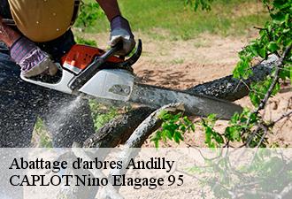 Abattage d'arbres  andilly-95580 CAPLOT Nino Elagage 95