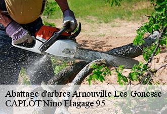 Abattage d'arbres  arnouville-les-gonesse-95400 CAPLOT Nino Elagage 95