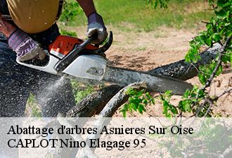 Abattage d'arbres  asnieres-sur-oise-95270 CAPLOT Nino Elagage 95