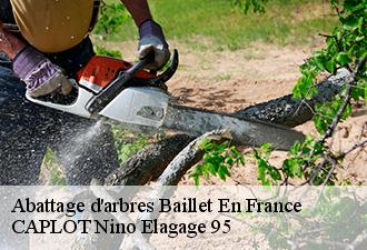 Abattage d'arbres  baillet-en-france-95560 CAPLOT Nino Elagage 95