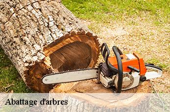 Abattage d'arbres