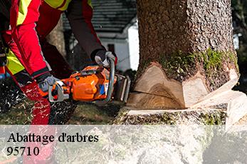 Abattage d'arbres 95710