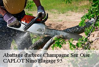 Abattage d'arbres  champagne-sur-oise-95660 CAPLOT Nino Elagage 95