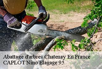 Abattage d'arbres  chatenay-en-france-95190 CAPLOT Nino Elagage 95