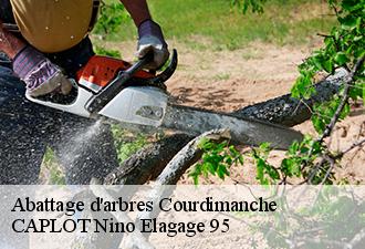 Abattage d'arbres  courdimanche-95800 CAPLOT Nino Elagage 95