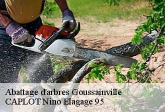 Abattage d'arbres  goussainville-95190 CAPLOT Nino Elagage 95