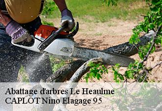 Abattage d'arbres  le-heaulme-95640 CAPLOT Nino Elagage 95