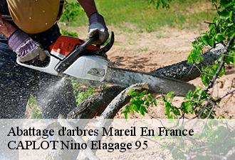 Abattage d'arbres  mareil-en-france-95850 CAPLOT Nino Elagage 95