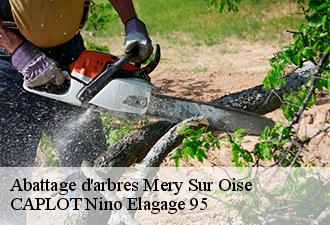 Abattage d'arbres  mery-sur-oise-95540 CAPLOT Nino Elagage 95