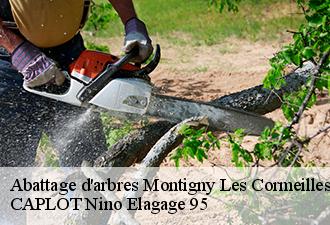 Abattage d'arbres  montigny-les-cormeilles-95370 CAPLOT Nino Elagage 95