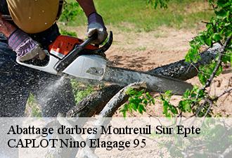 Abattage d'arbres  montreuil-sur-epte-95770 CAPLOT Nino Elagage 95