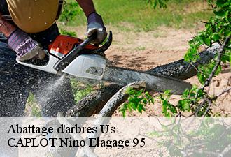 Abattage d'arbres  us-95450 CAPLOT Nino Elagage 95