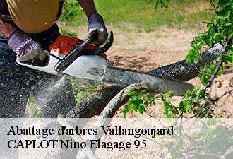 Abattage d'arbres  vallangoujard-95810 CAPLOT Nino Elagage 95